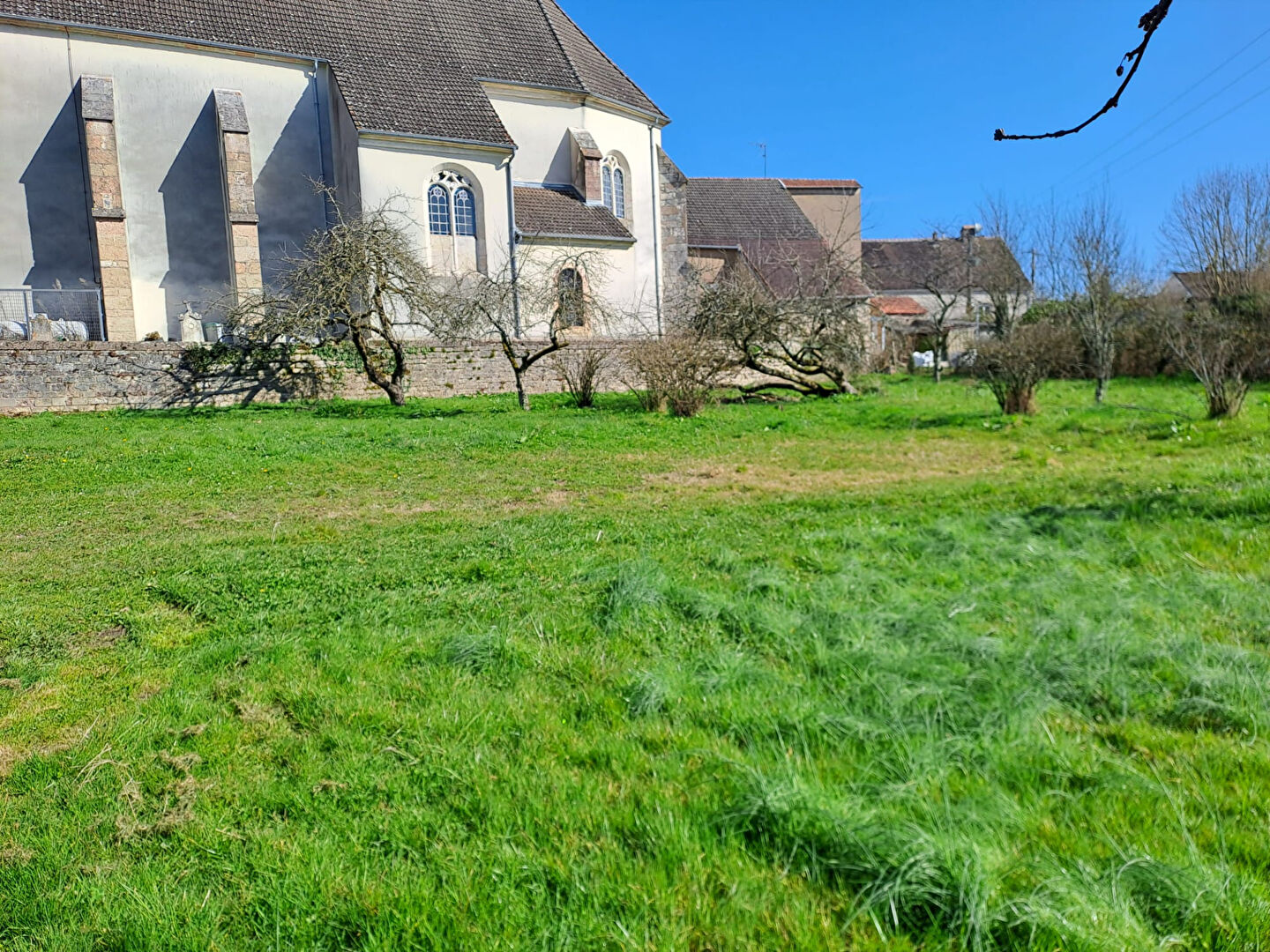 Photo n° 3