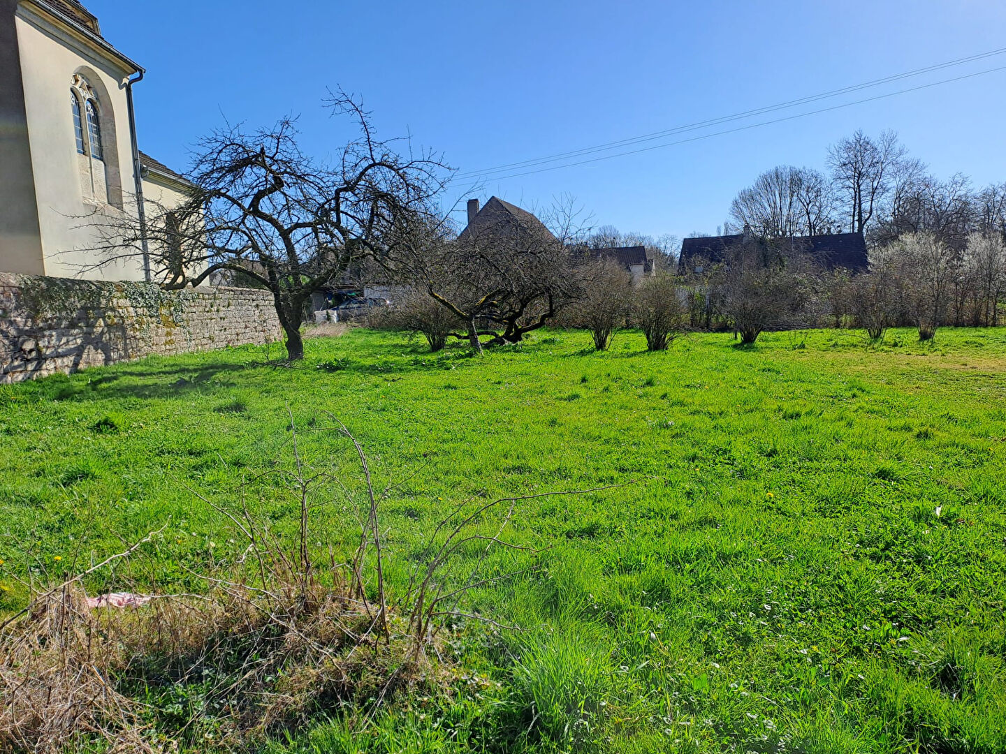 Photo n° 4