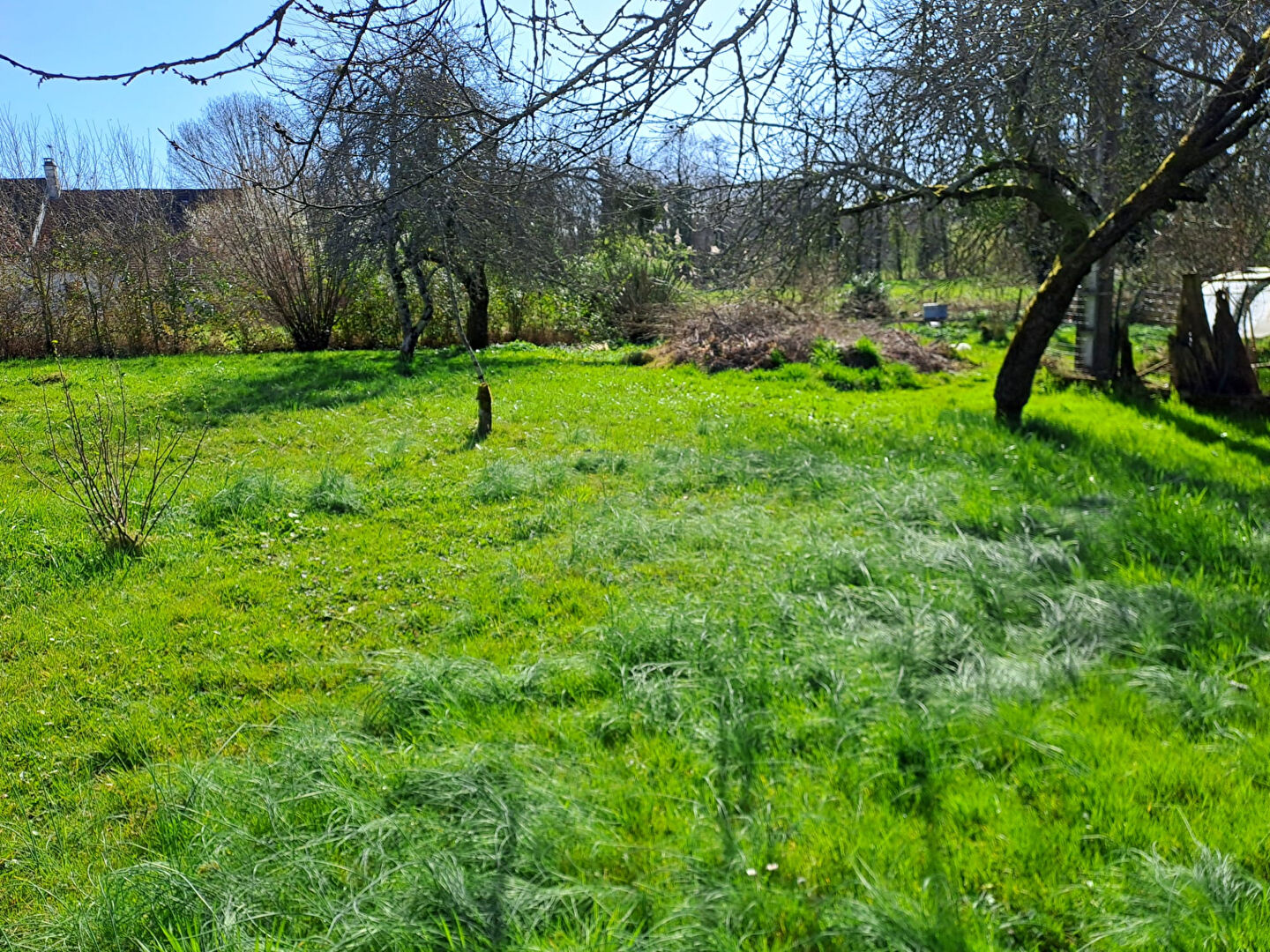 Photo n° 5