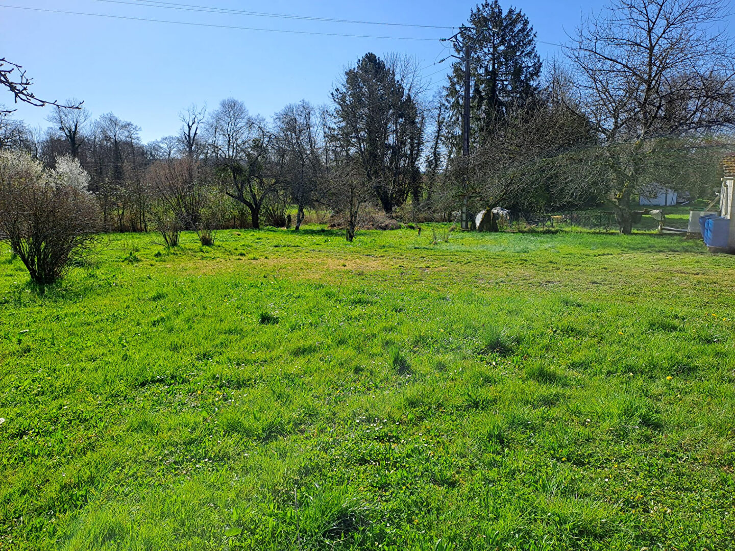 Photo n° 6