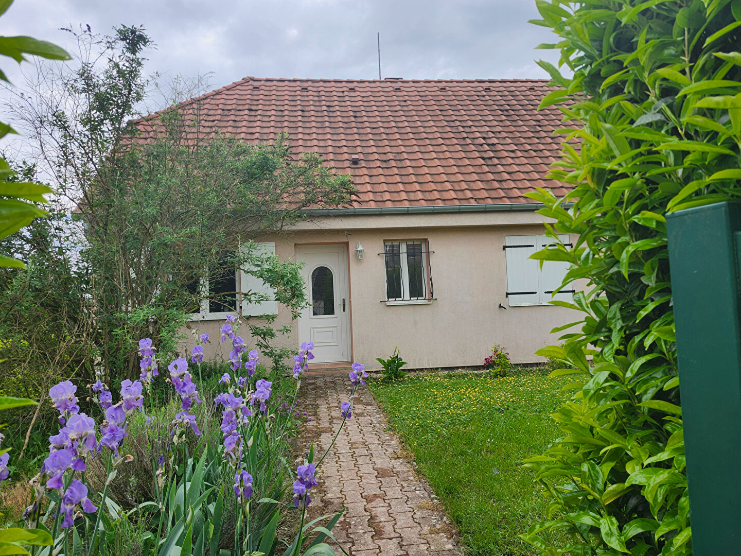 Photo n° 1