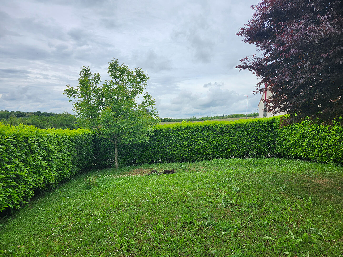 Photo n° 14