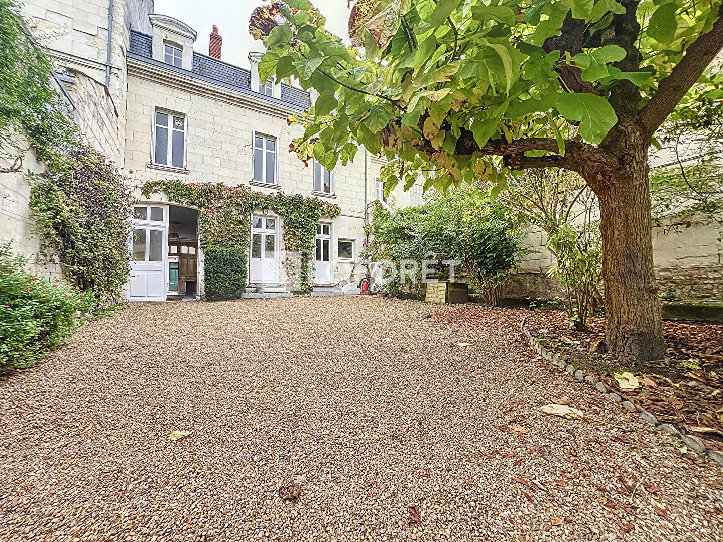 Photo n° 1