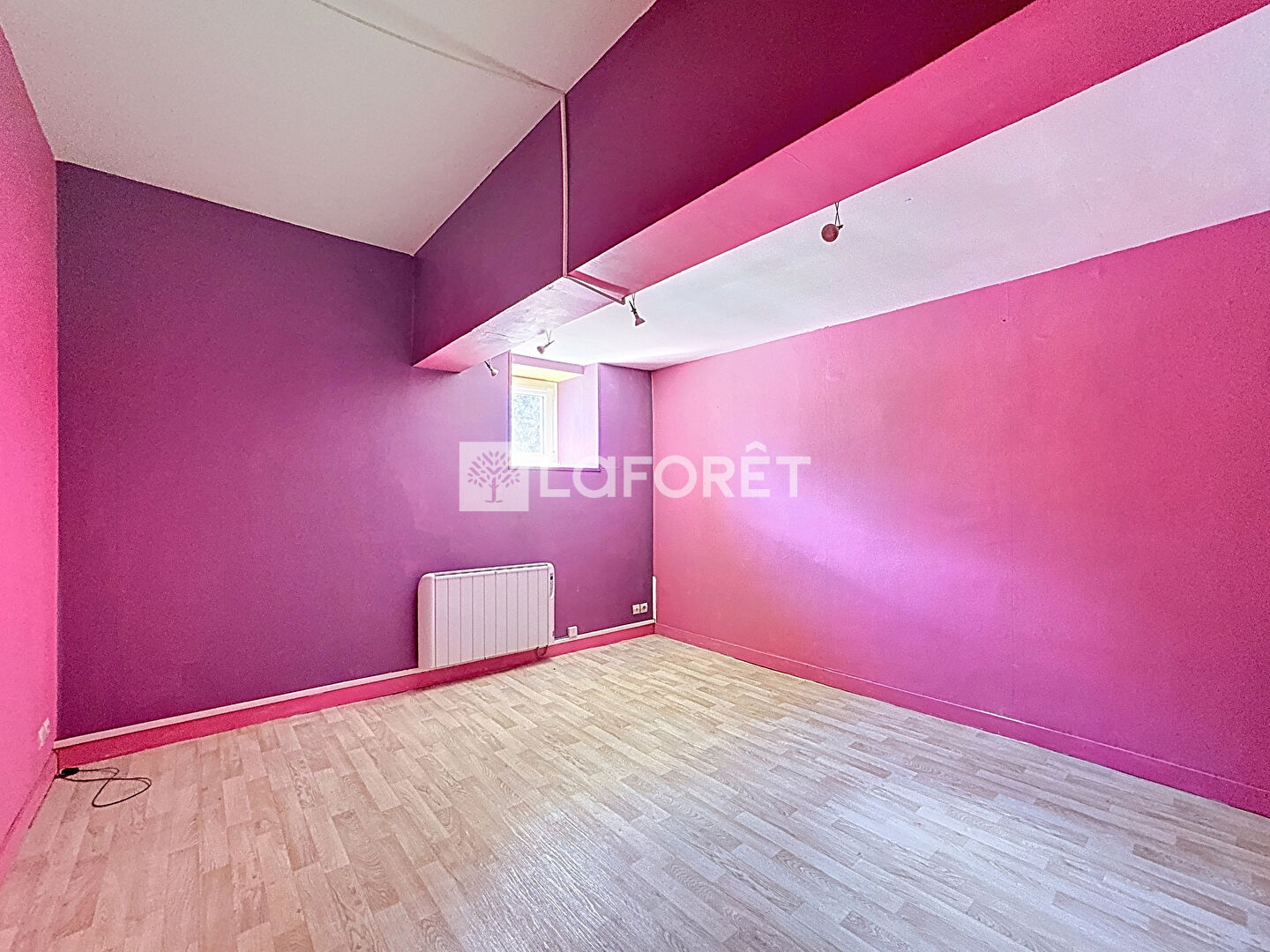 Photo n° 4