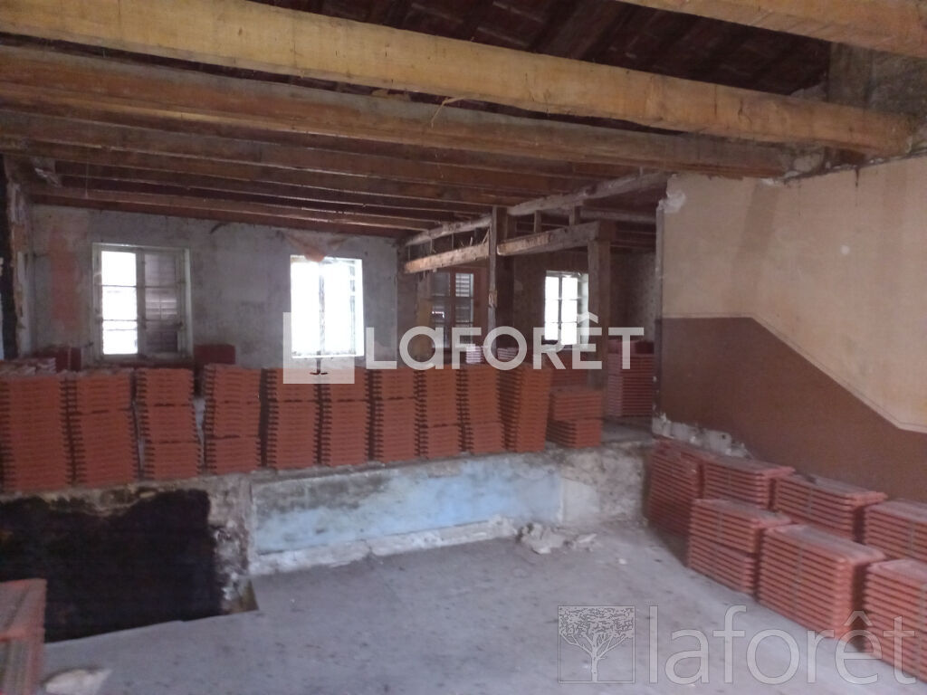 Photo n° 4