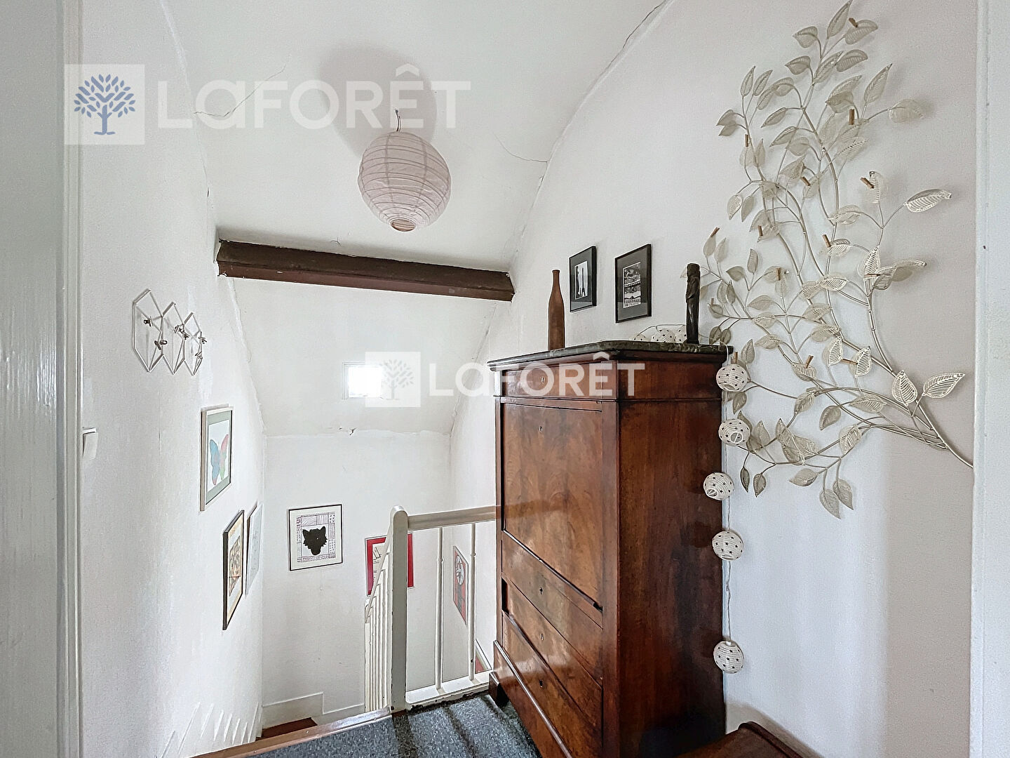 Photo n° 6