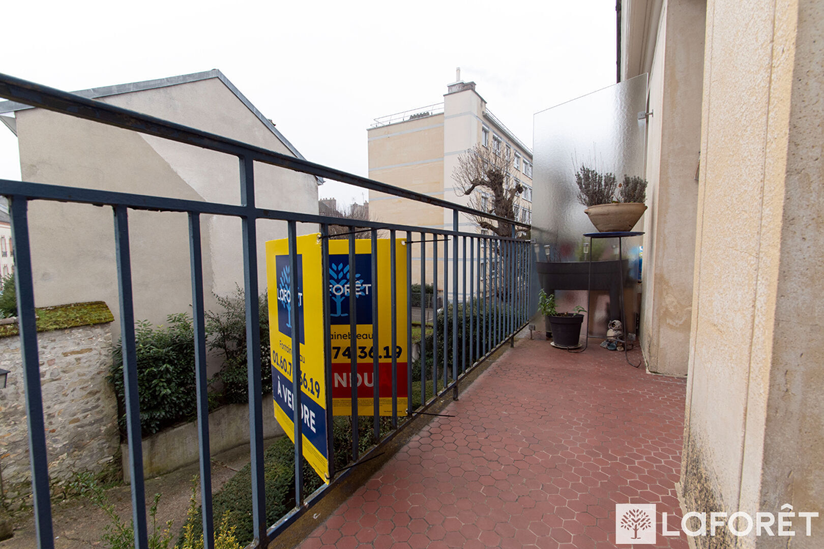 Photo n° 8