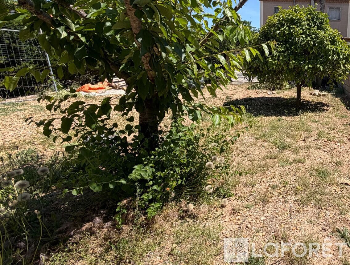 Maison à louer, 39m², FRONTIGNAN