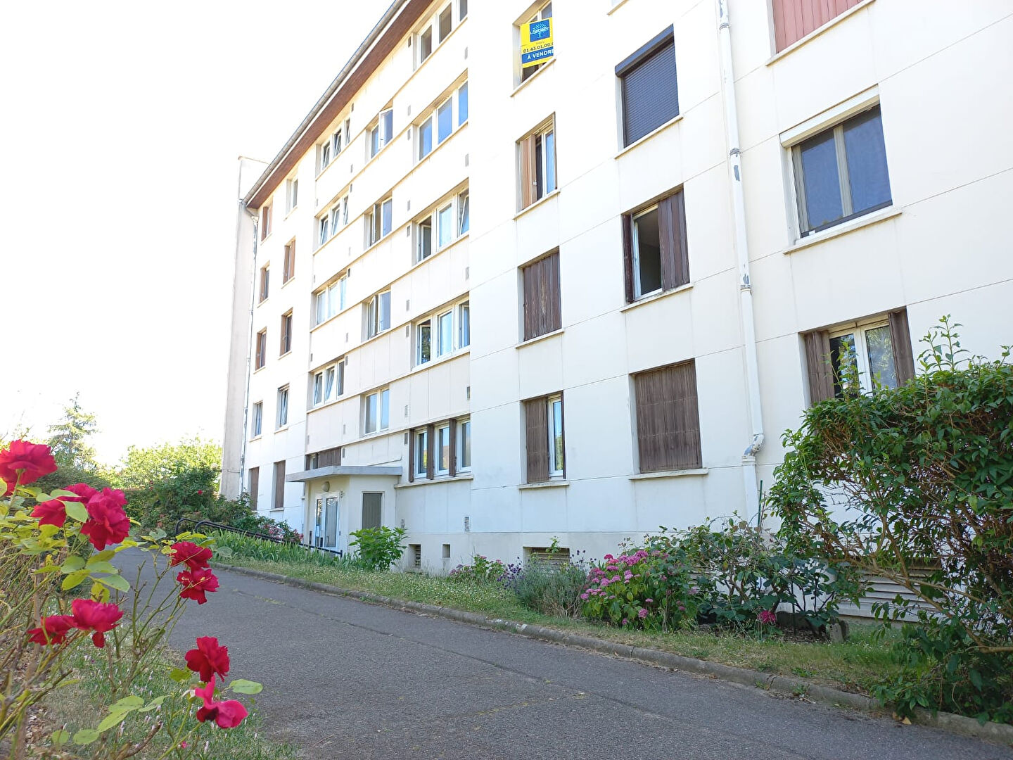 Photo n° 1