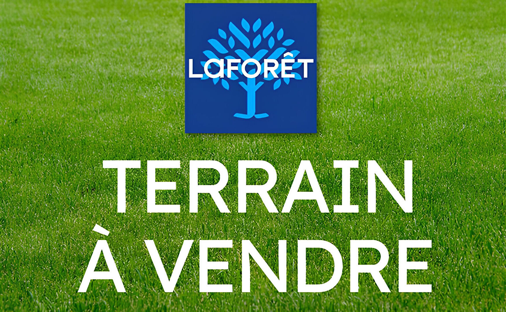 Photo n° 1