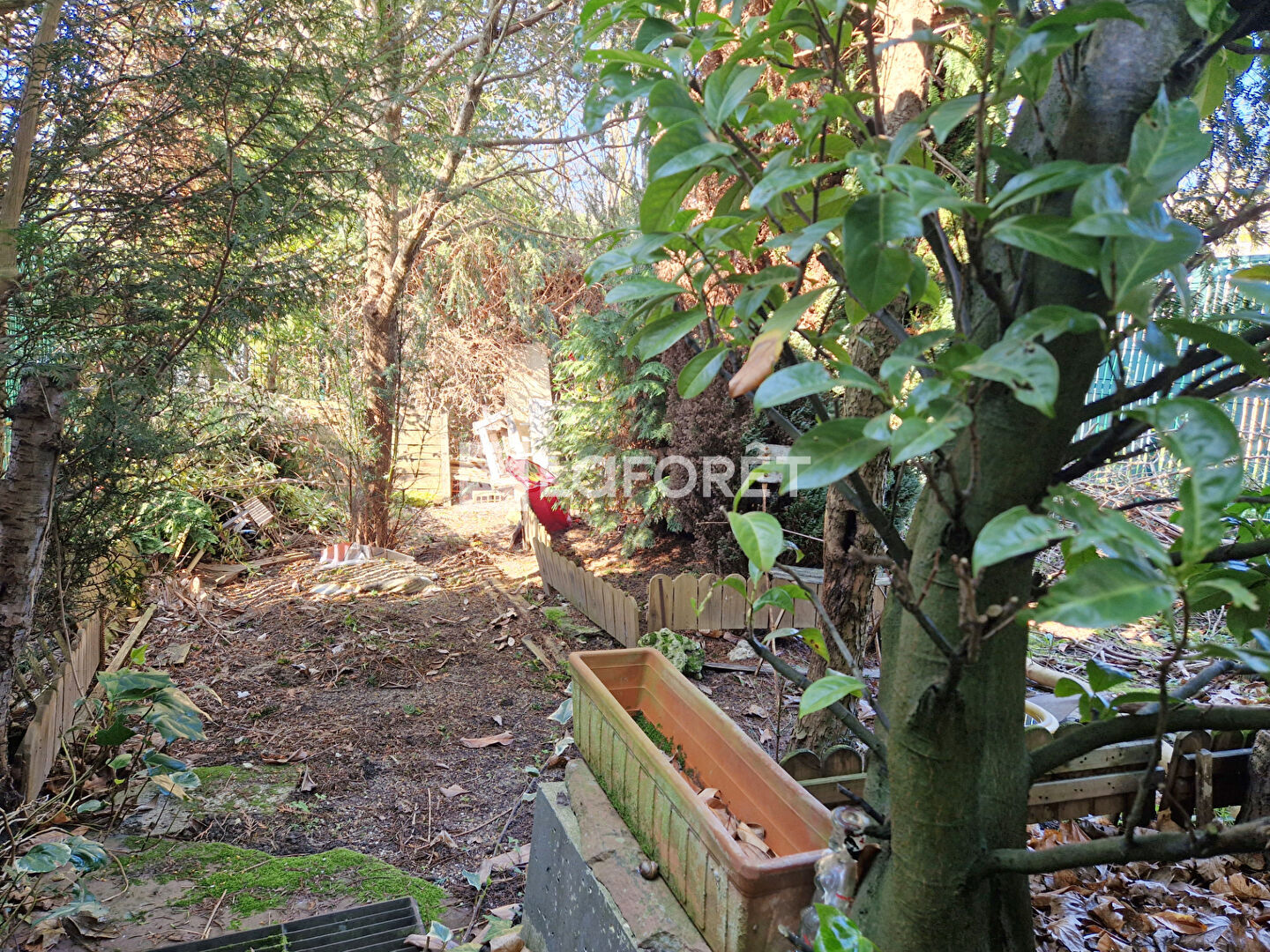 Photo n° 3