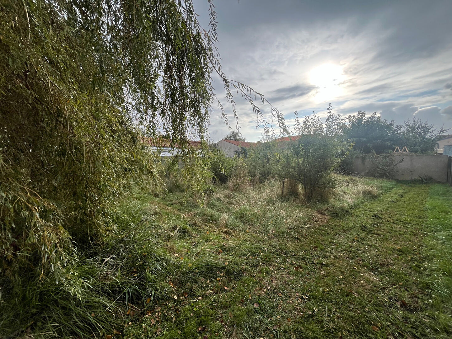 Photo n° 3