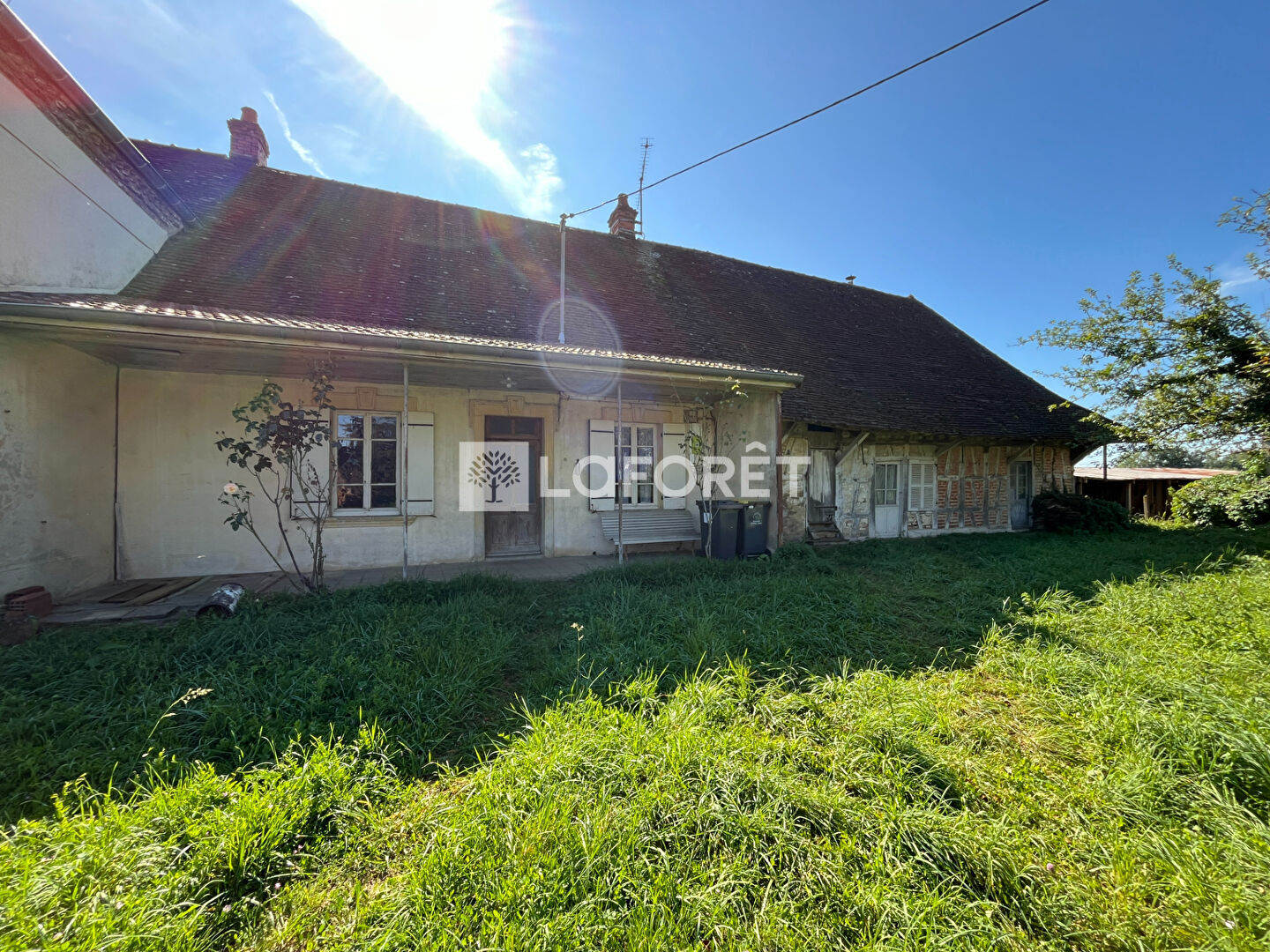 Photo n° 1