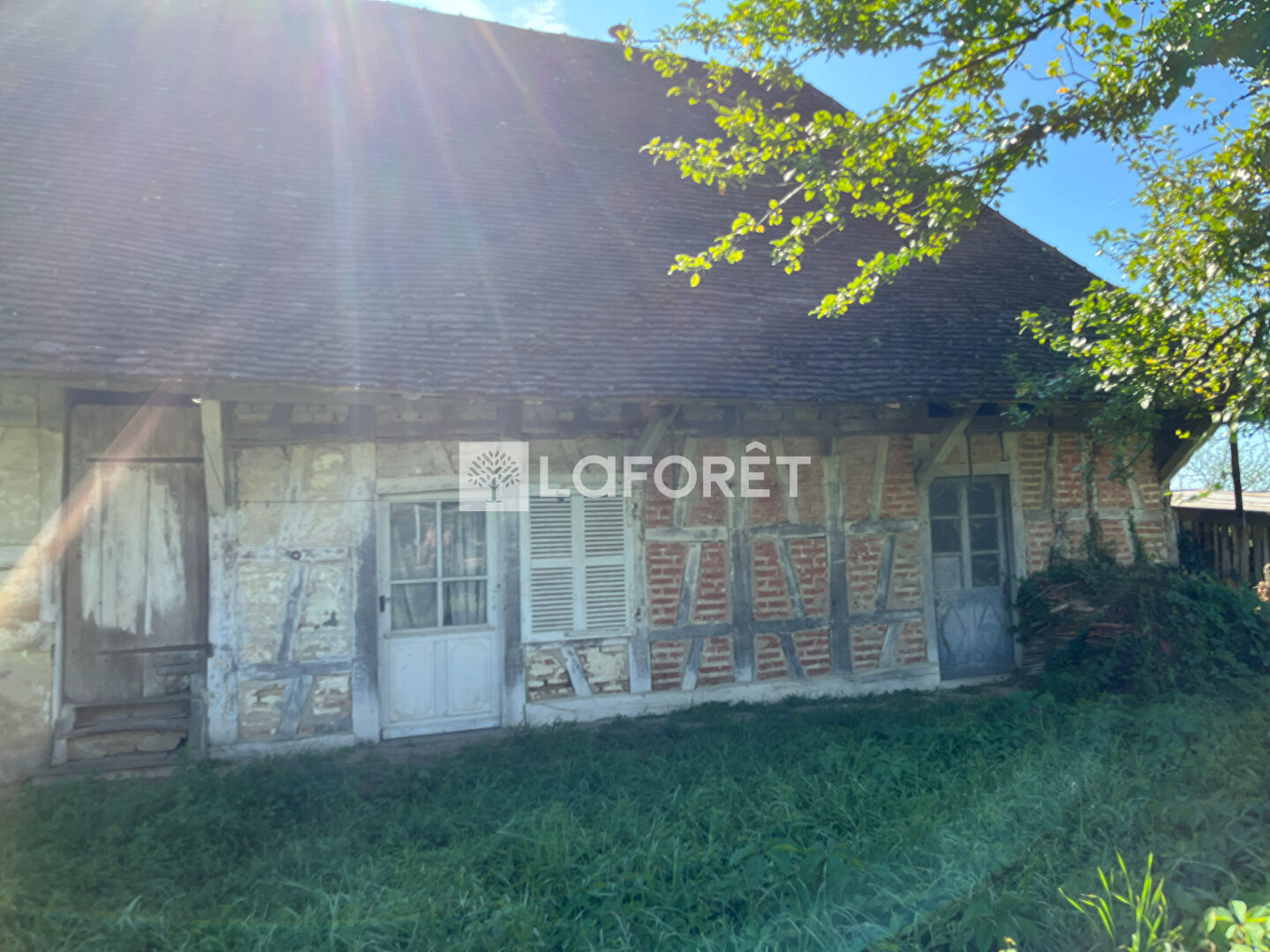 Photo n° 4