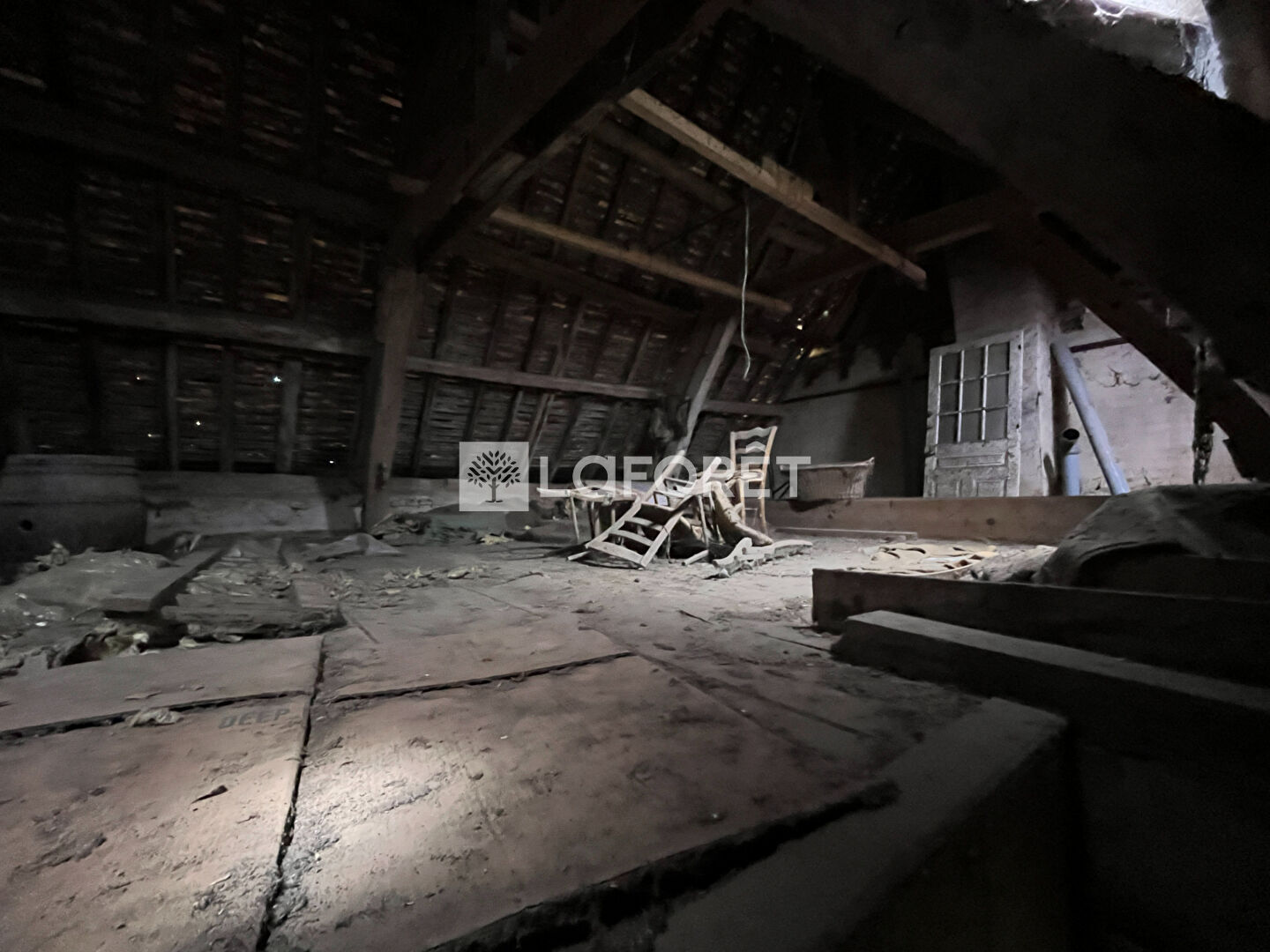 Photo n° 17