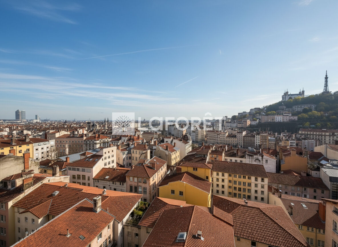 Maison à vendre, 36m², Lyon 01