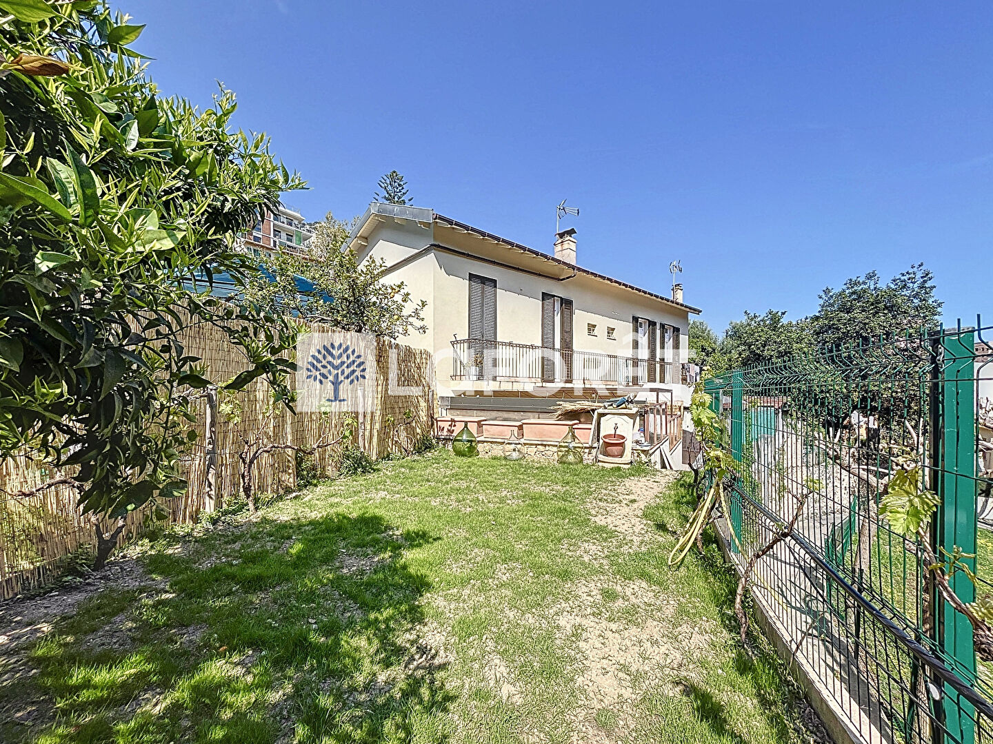 Photo n° 2