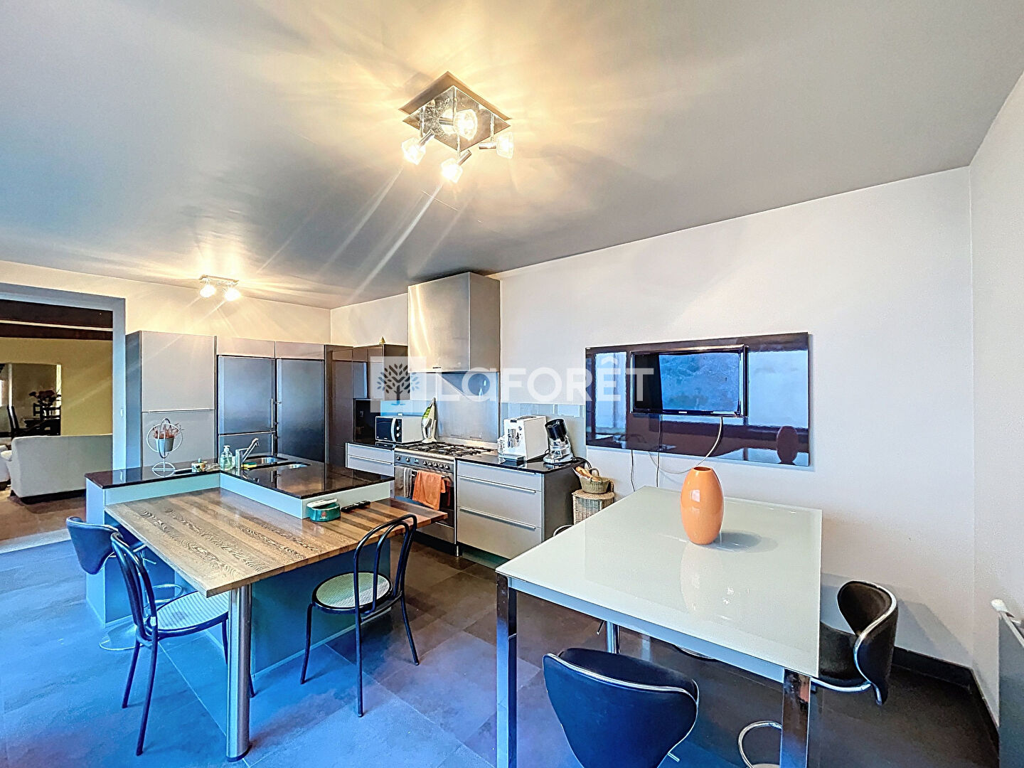 Maison à vendre, 328m², CASTELSARRASIN