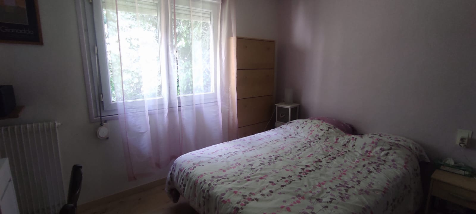 Photo n° 6