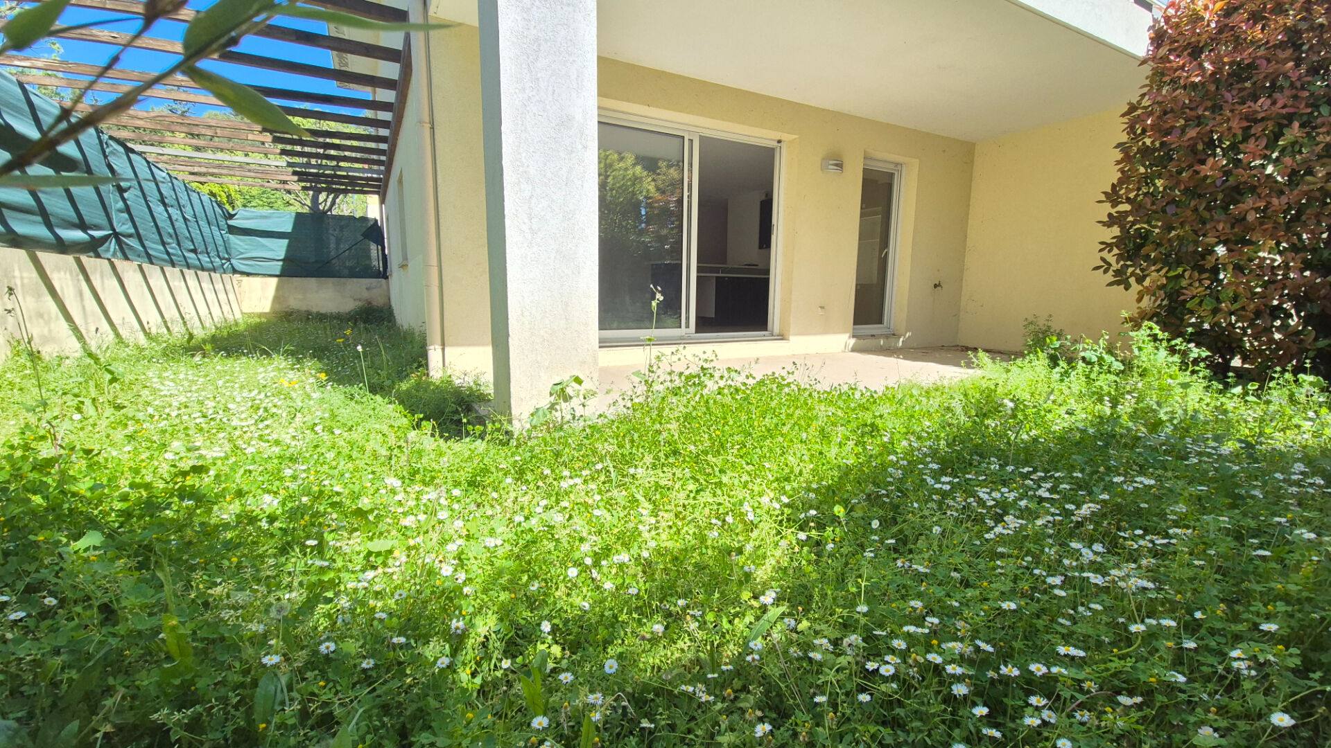 Photo n° 1