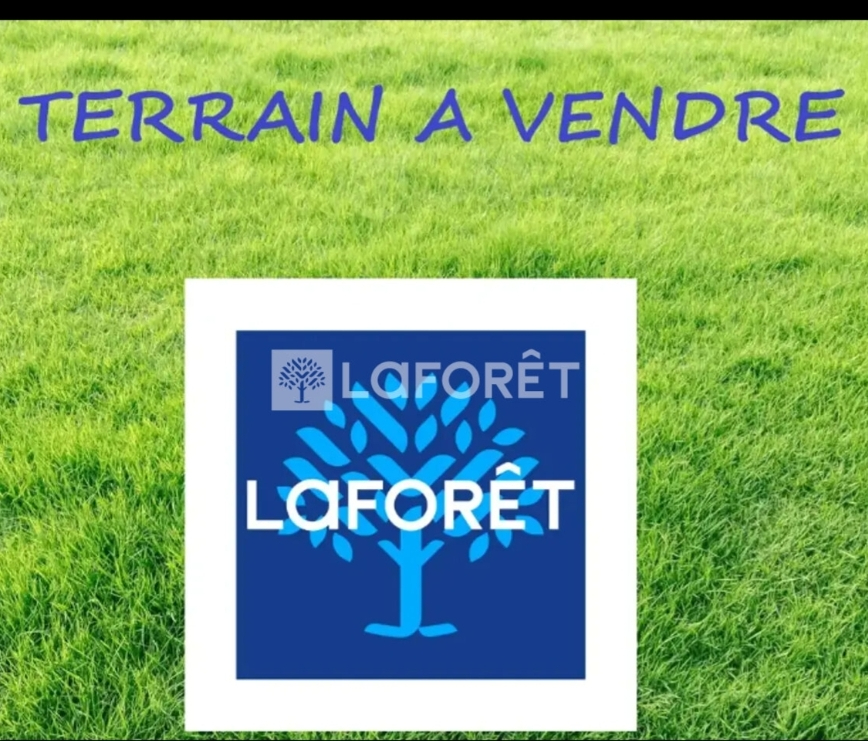 Photo n° 1
