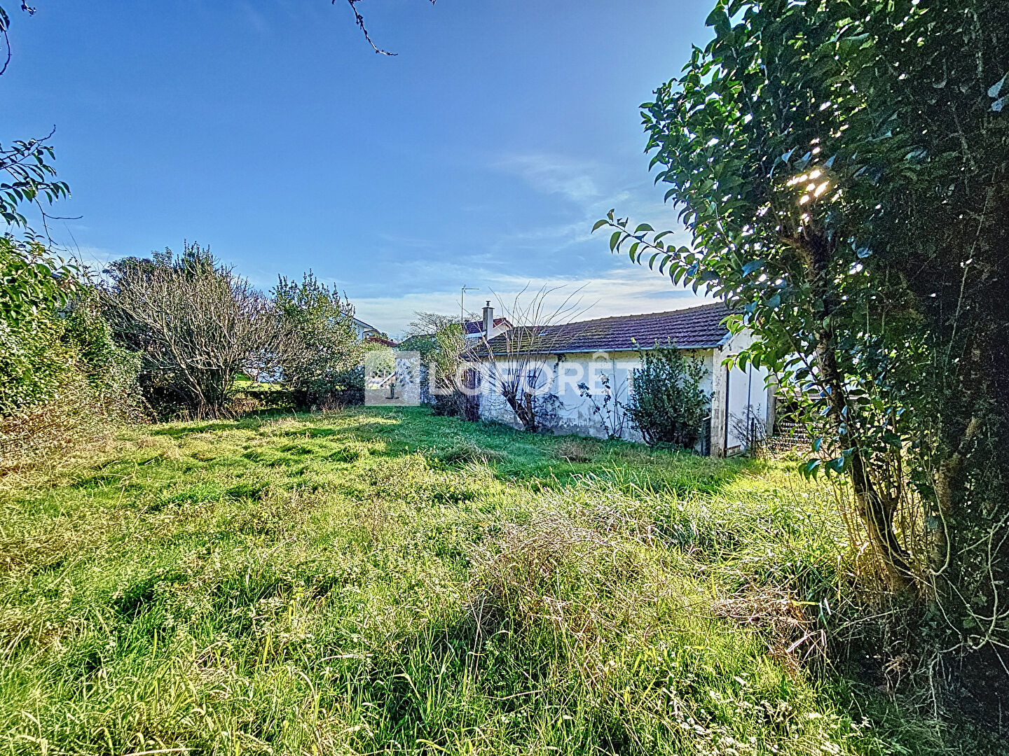 Photo n° 3