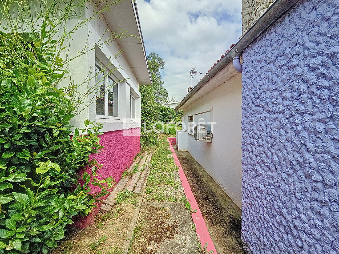 Photo n° 6