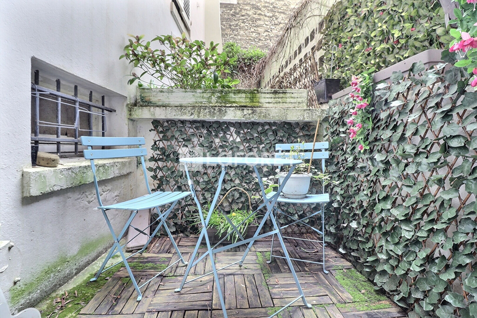 Photo n° 1