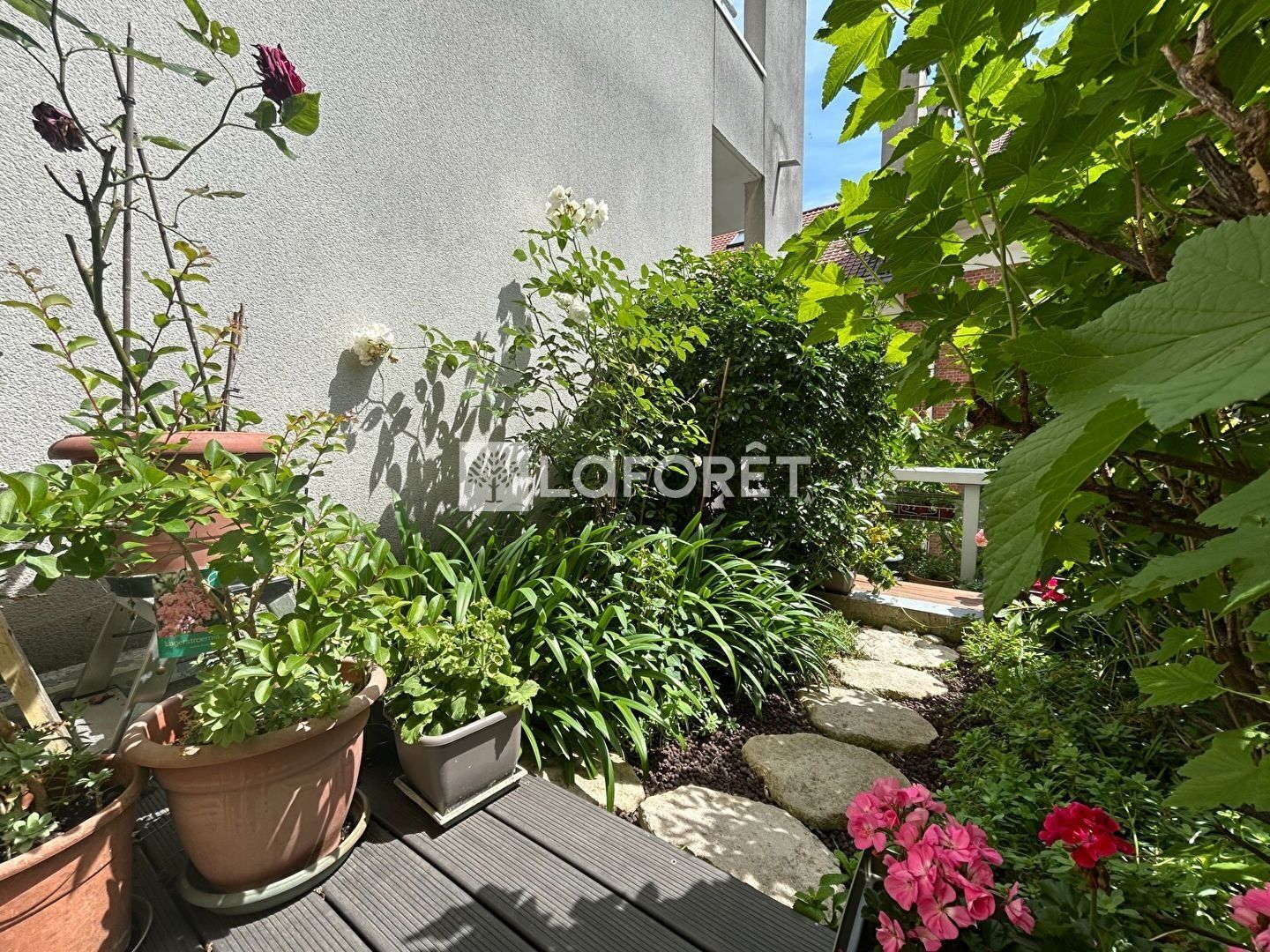 Photo n° 4
