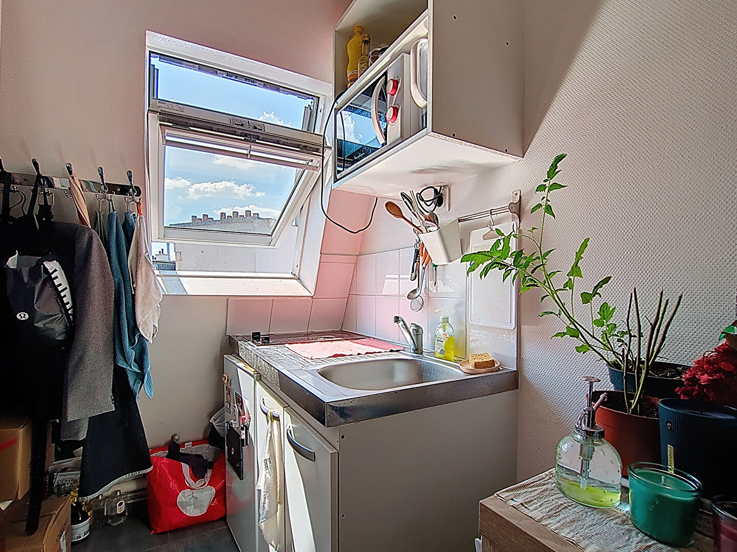 Photo n° 5