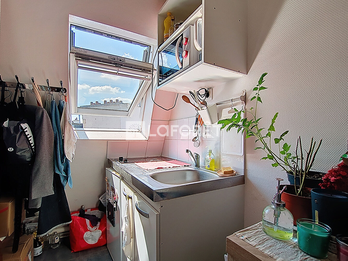 Photo n° 7