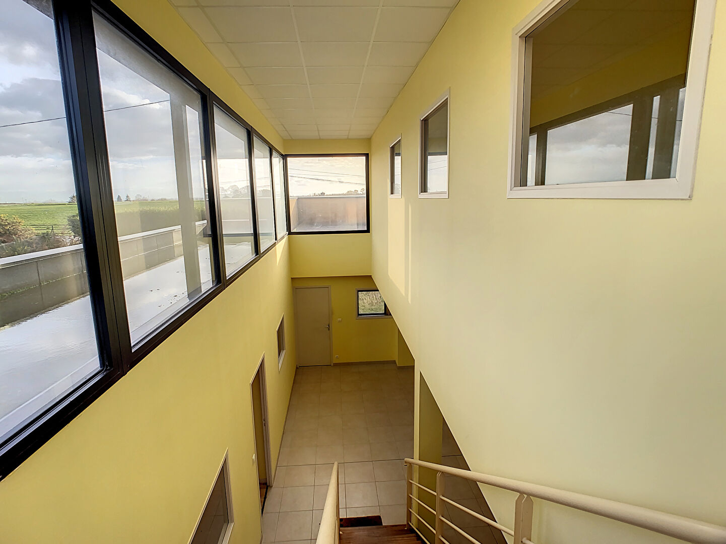 Photo n° 5