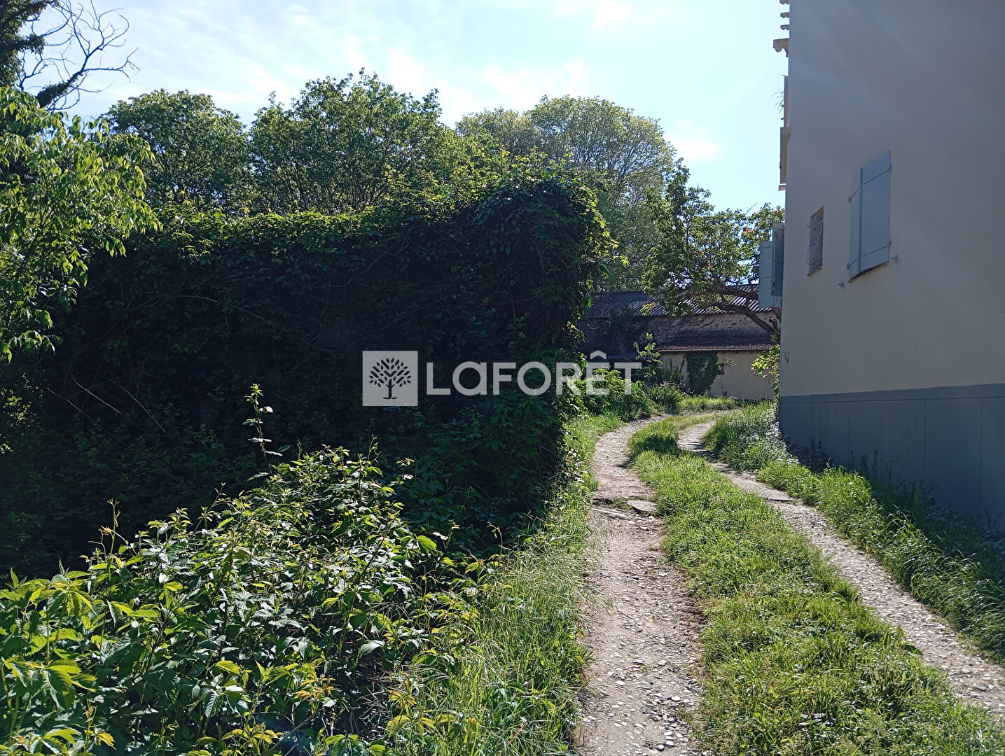 Photo n° 16