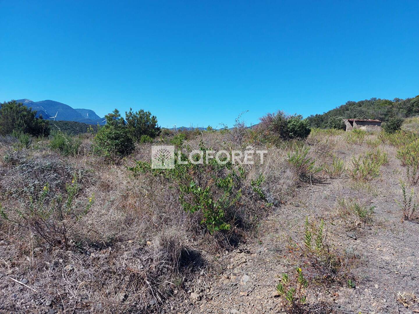 Achat terrain SaintPauldeFenouillet 13920 m² 18 500 € ⇔ Laforêt