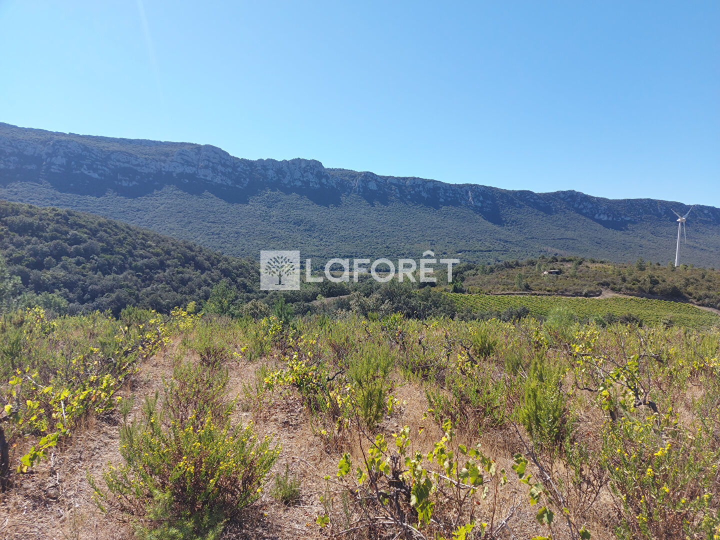 Achat terrain SaintPauldeFenouillet 13920 m² 18 500 € ⇔ Laforêt