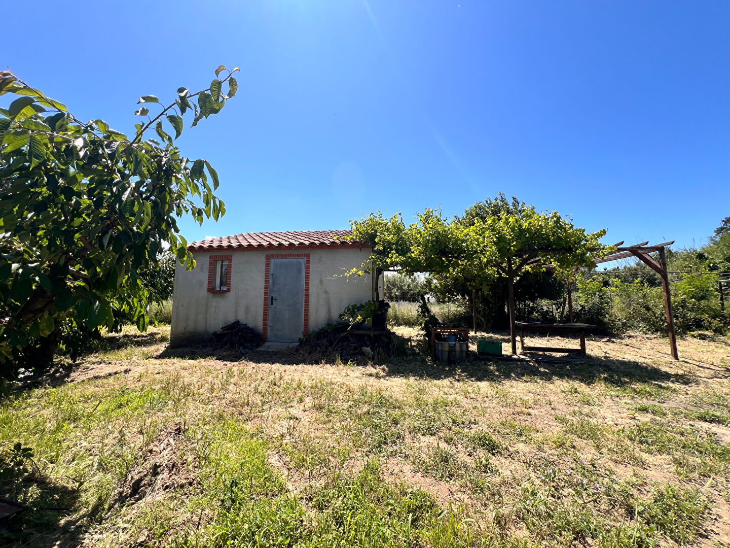 Photo n° 3