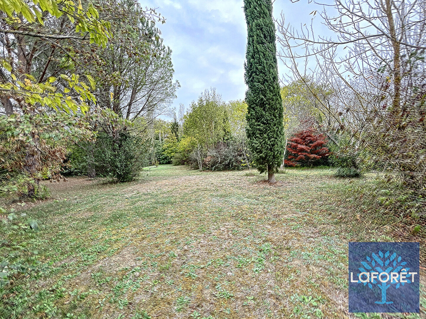 Achat terrain TrébonssurlaGrasse 1000 m² 140 600 € ⇔ Laforêt