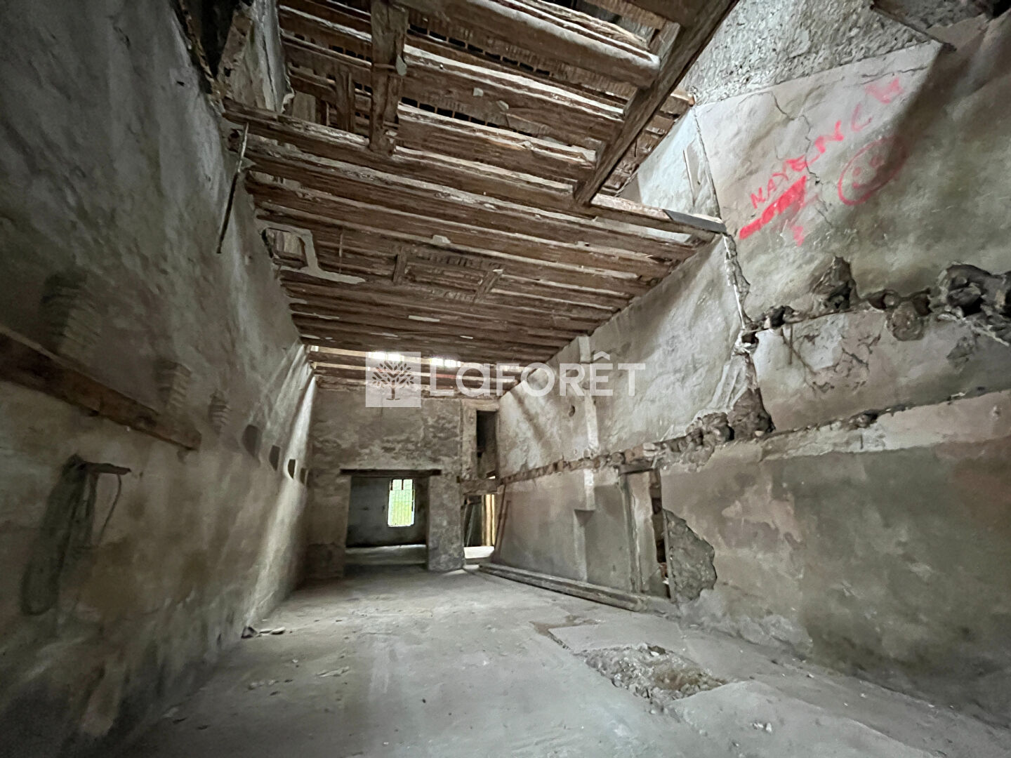 Photo n° 4