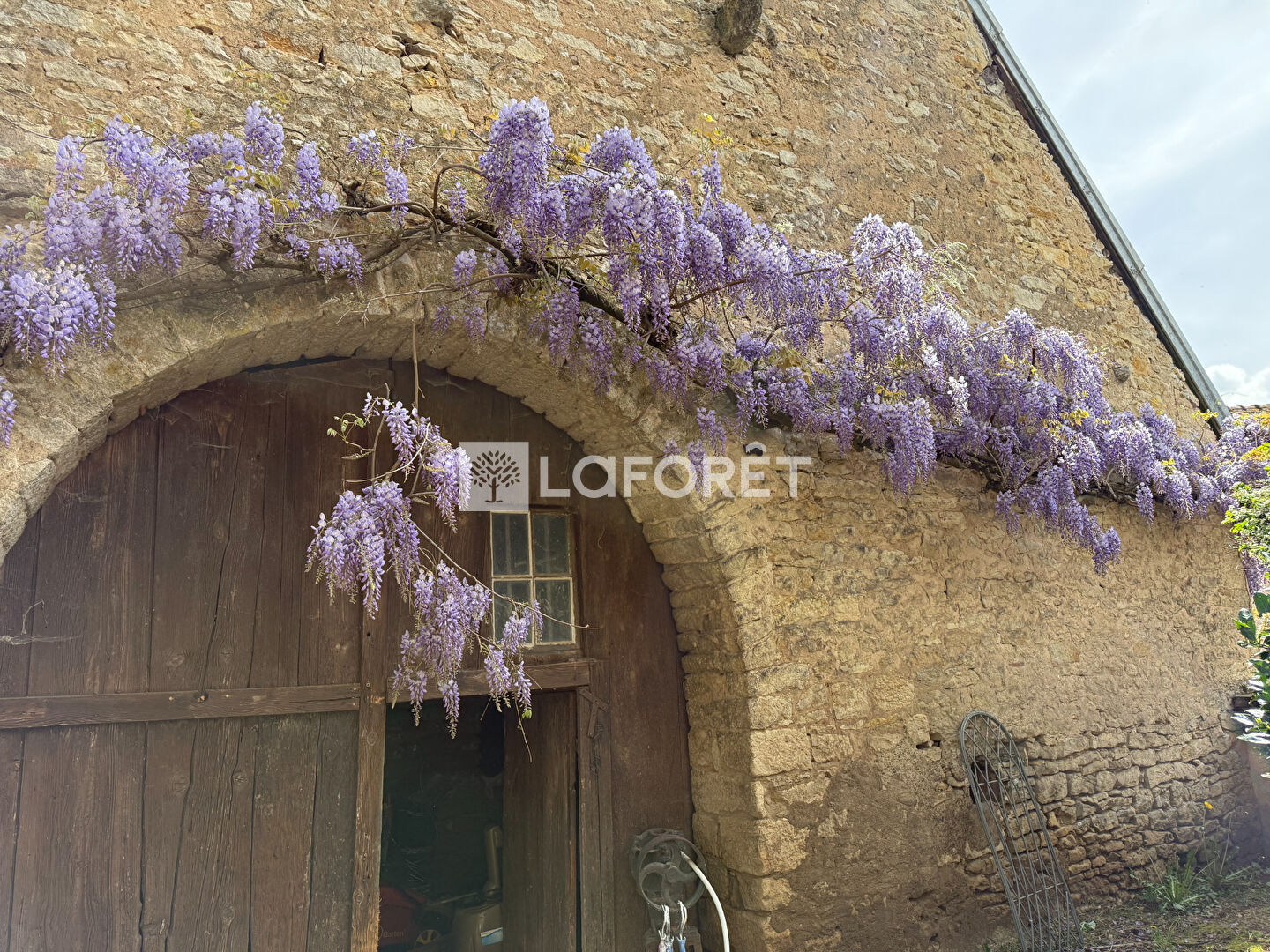 Photo n° 2