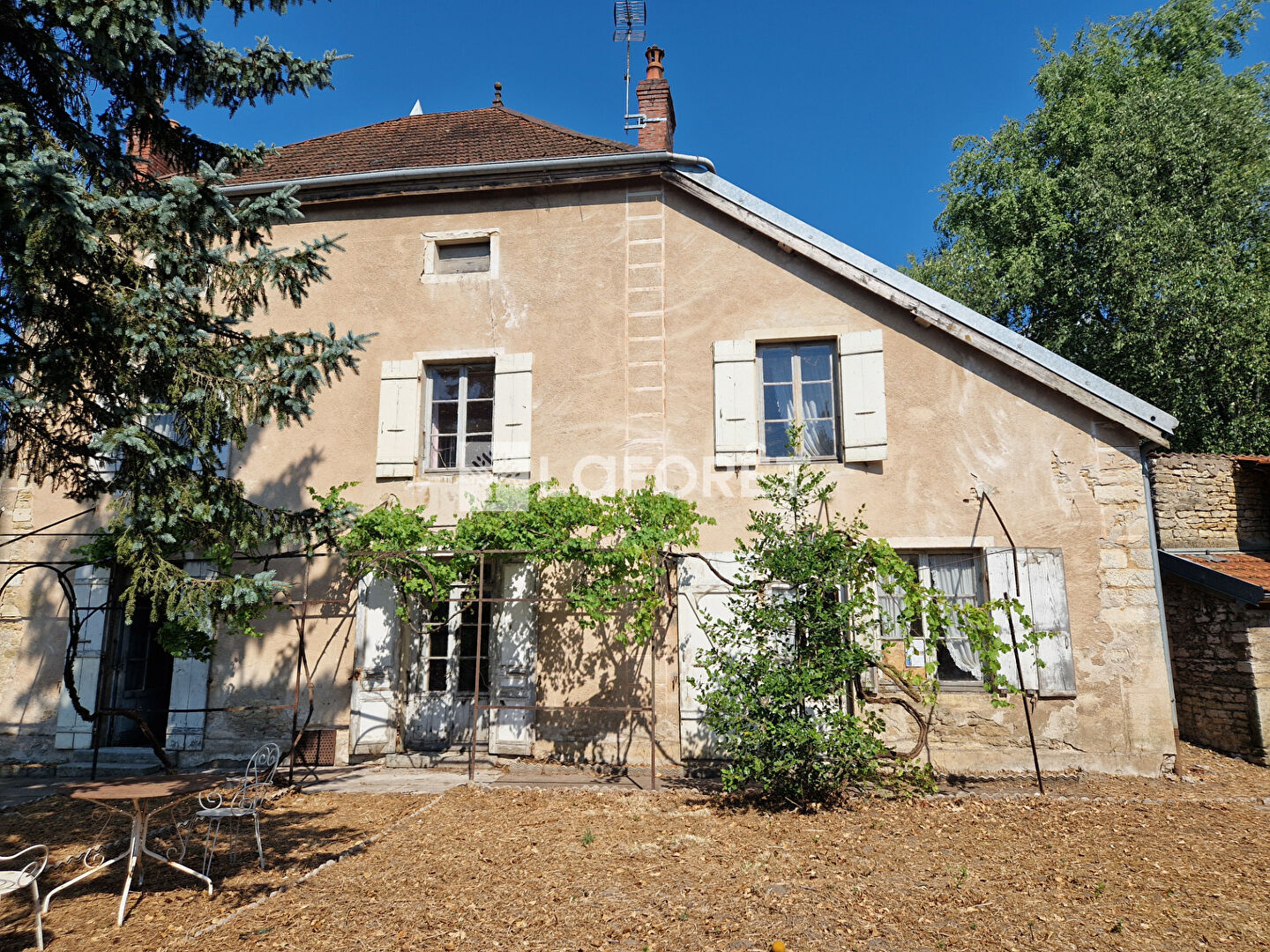 Photo n° 1
