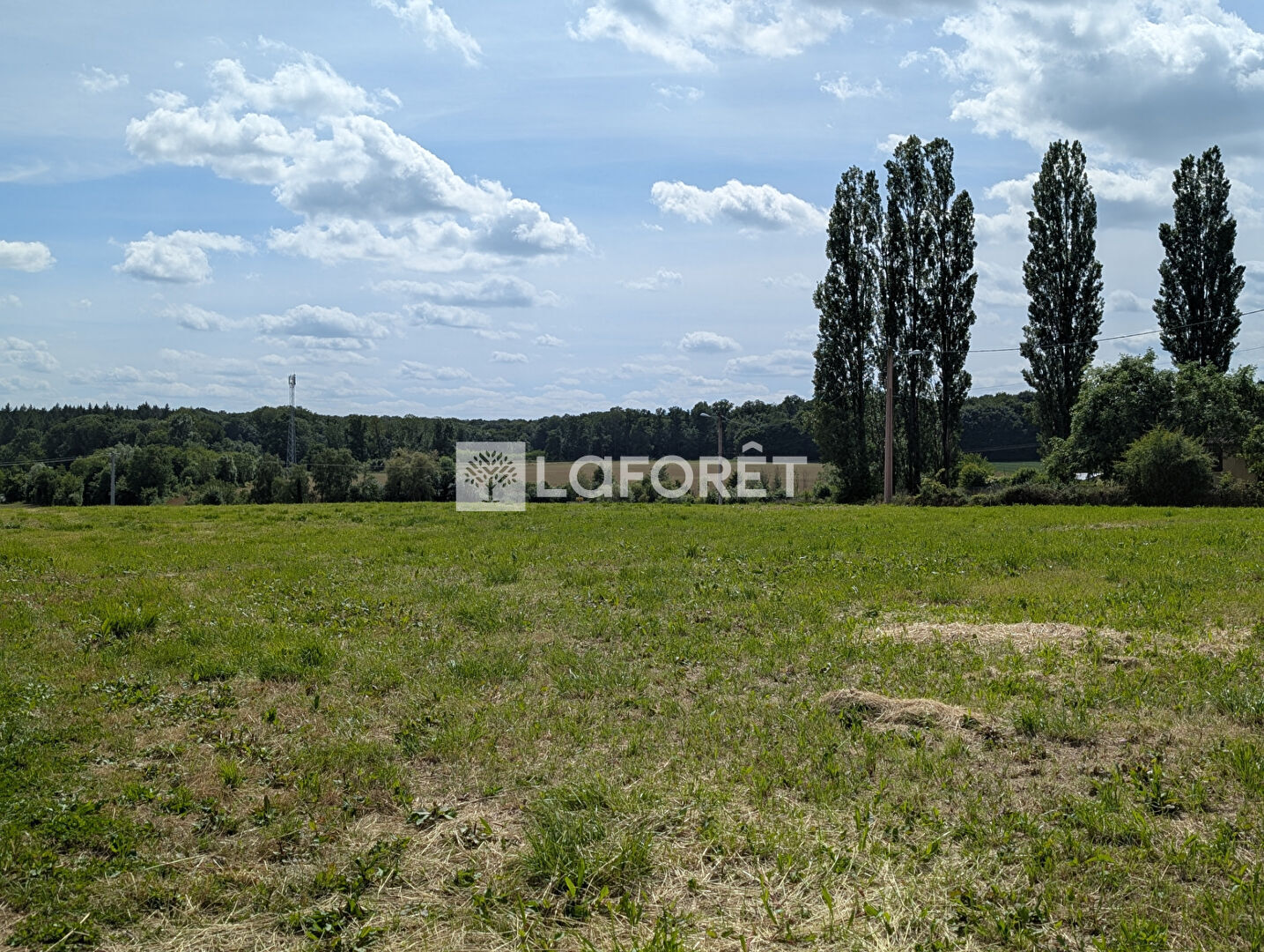 Photo n° 1