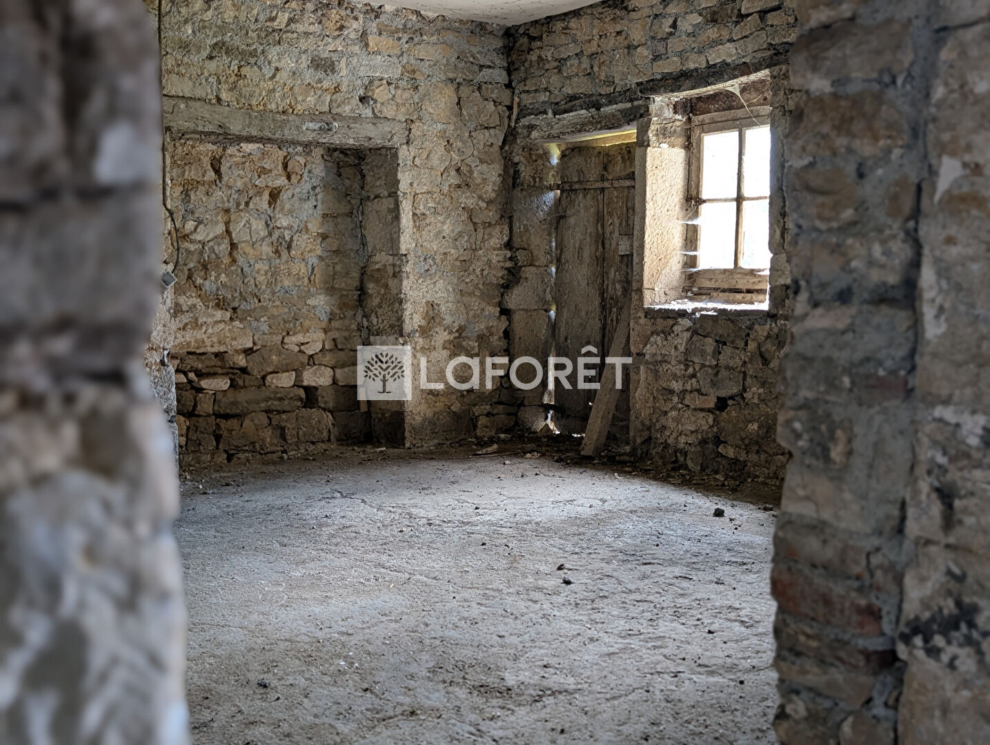 Photo n° 5