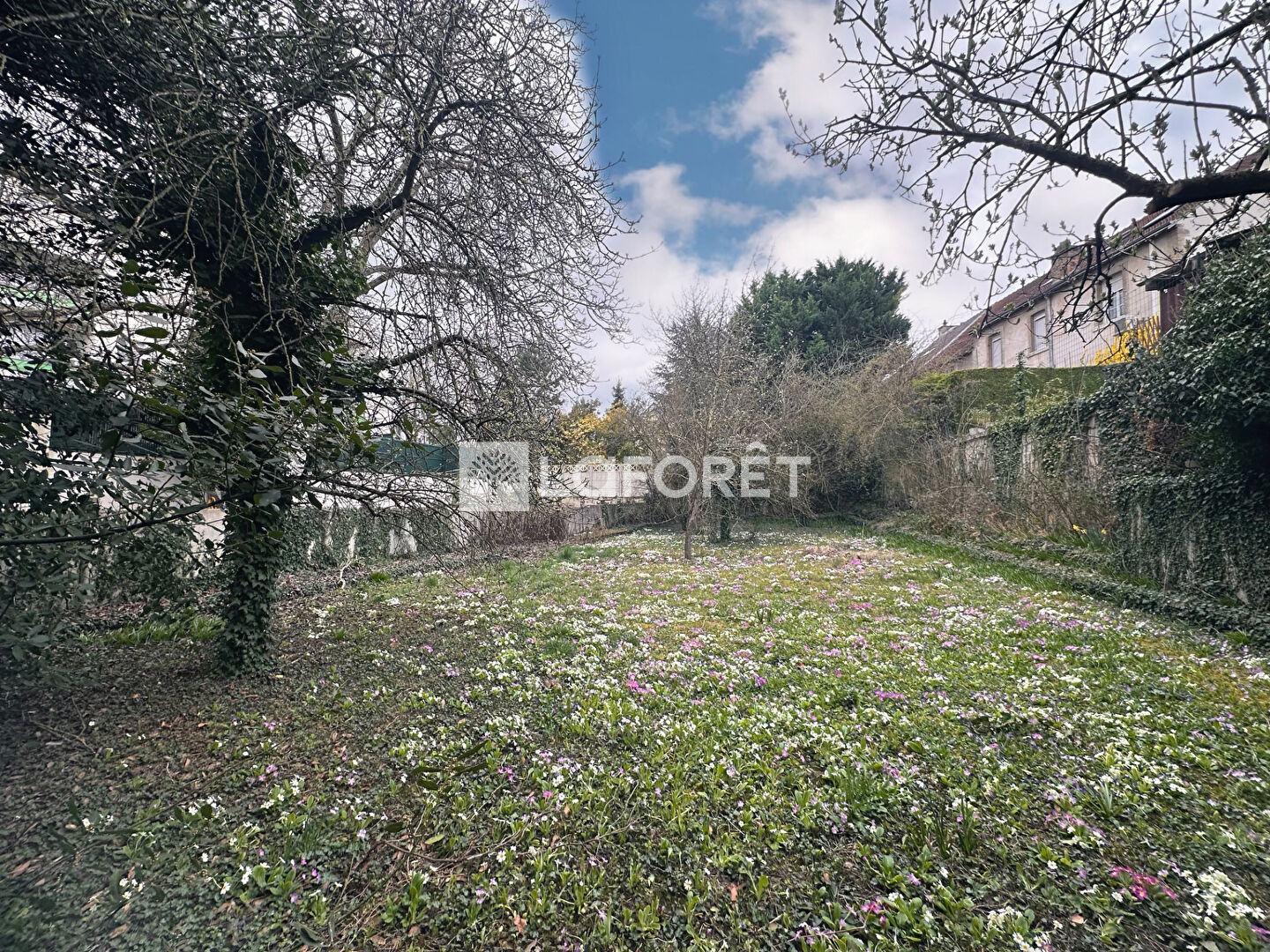Photo n° 3