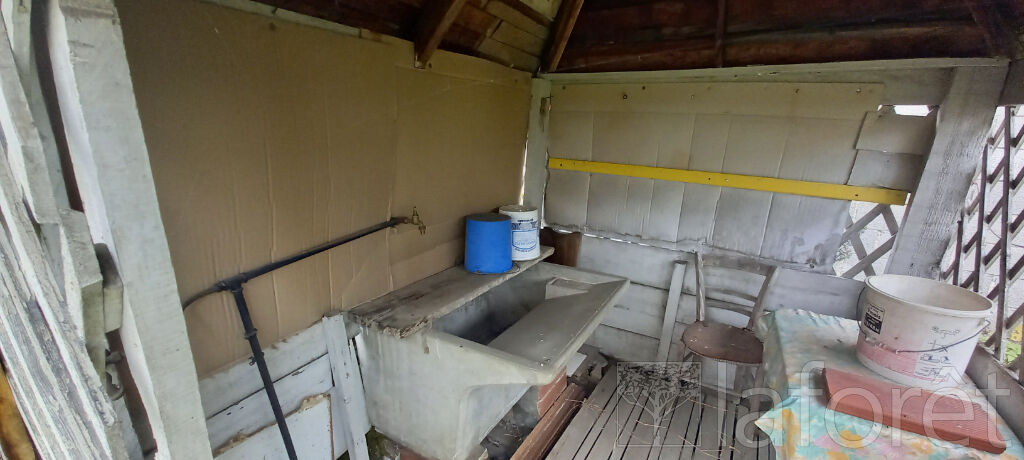 Photo n° 3