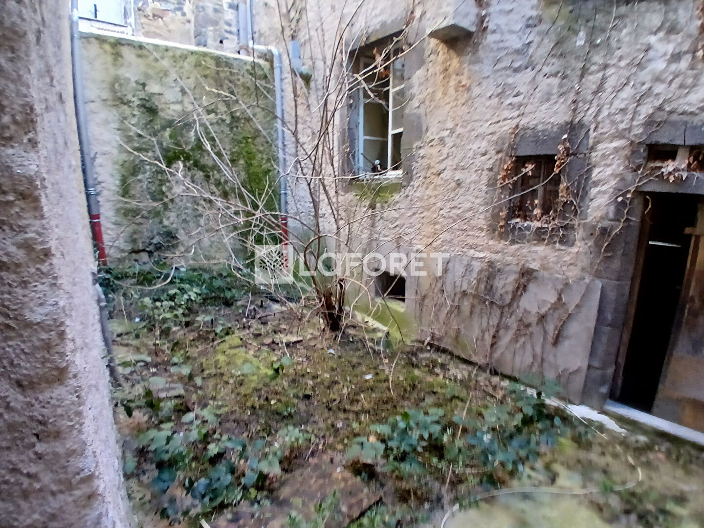 Photo n° 3