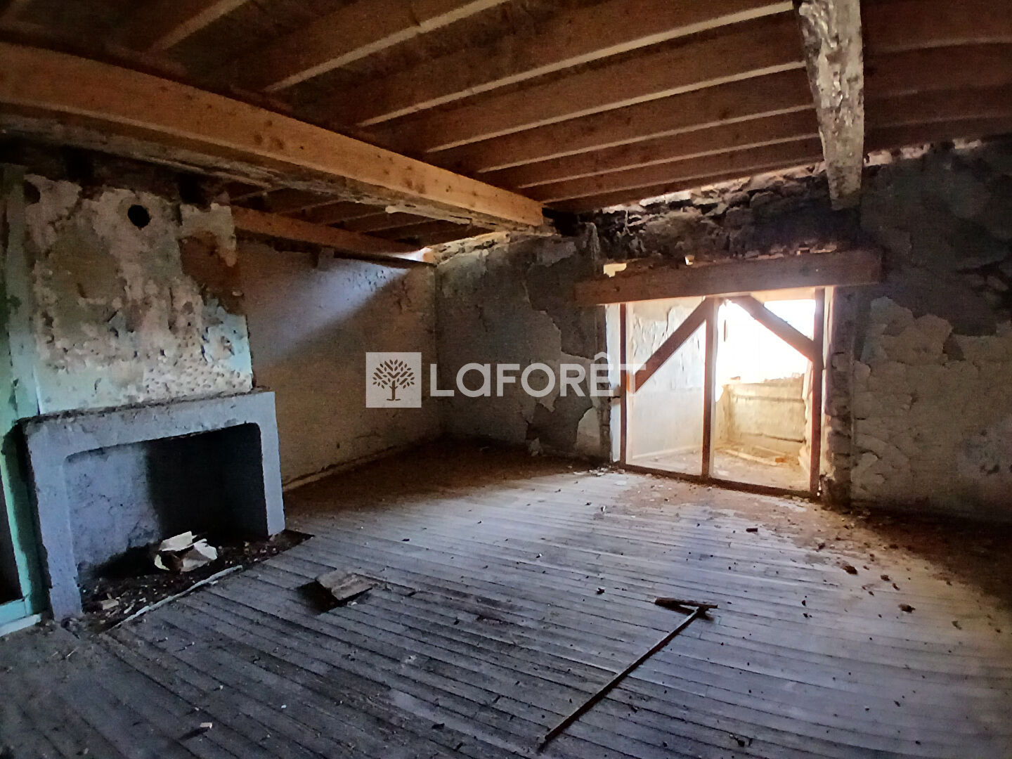 Photo n° 6