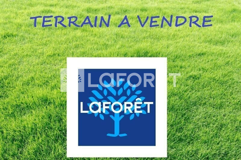 Photo n° 1