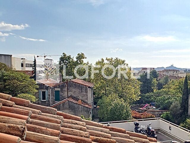 Photo n° 6